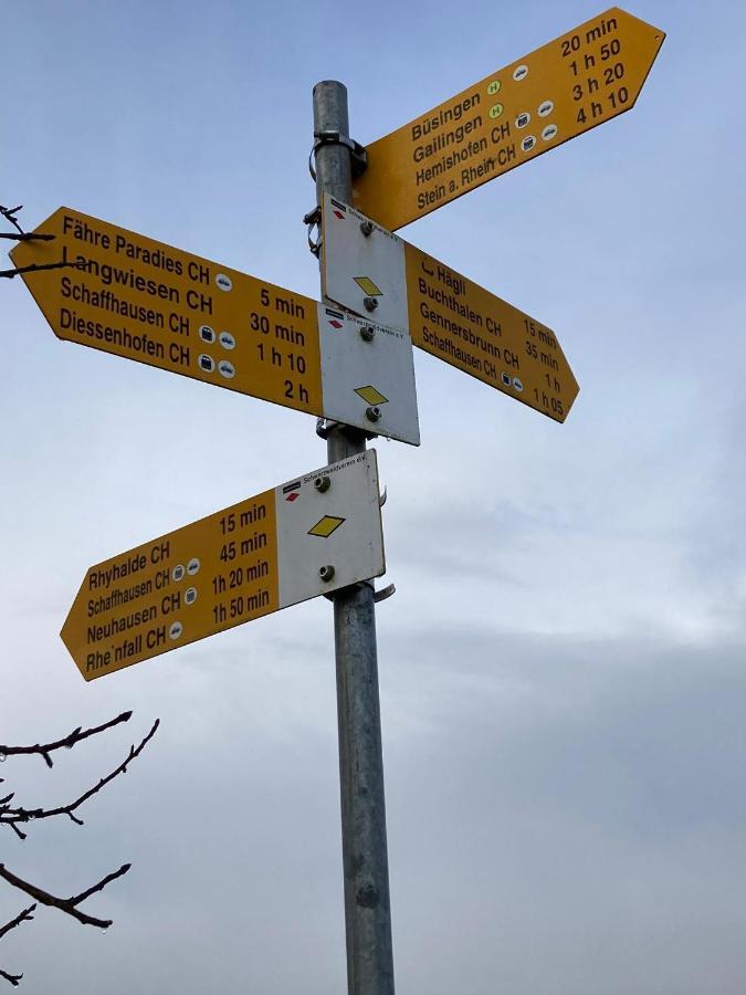 Buesingen Am Hochrhein Radfahren, Wandern, Natur Geniessen Eksteriør bilde