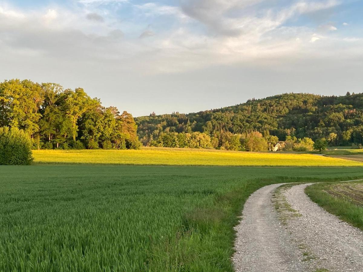 Buesingen Am Hochrhein Radfahren, Wandern, Natur Geniessen Eksteriør bilde
