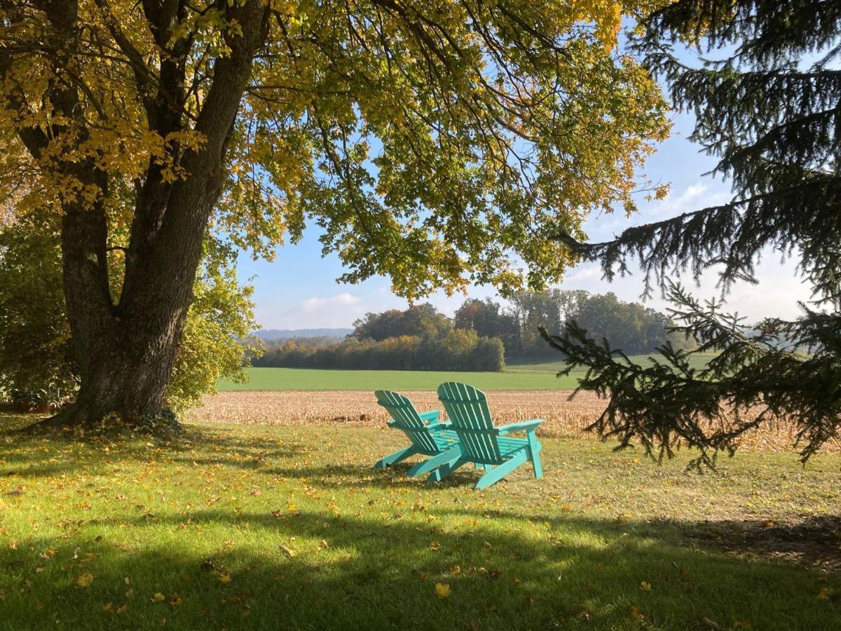 Buesingen Am Hochrhein Radfahren, Wandern, Natur Geniessen Leilighet Eksteriør bilde